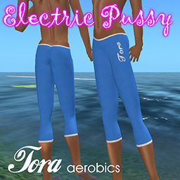 Tora Aerobics pants - female avatar clothing for Digiworldz and other Open Sim worlds