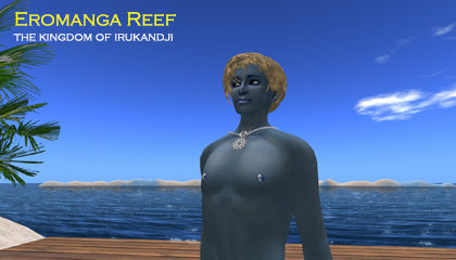 Eromanga Reef, Irukandji