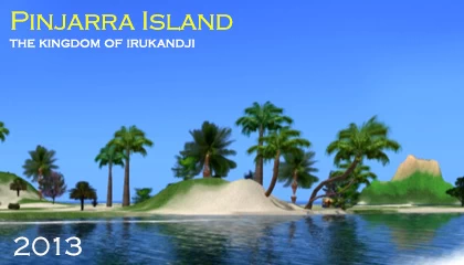 Pinjarra Island, Irukandji 2013