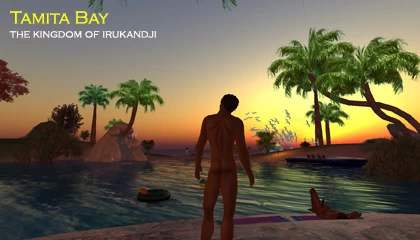 This silhouette photo of a naked man against the sunset on Tamita Bay is still used for Irukandji posters 10 years later.