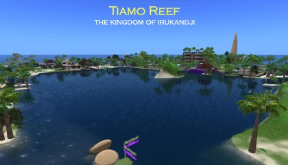 Tiamo Reef, 2014, looking north from South Irukandji Sea towards the palace on Tamita Island.