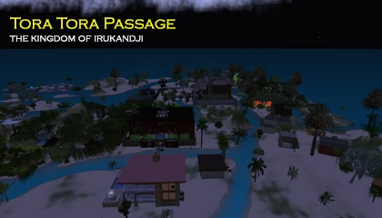Tora Tora Passage, Irukandji 2007